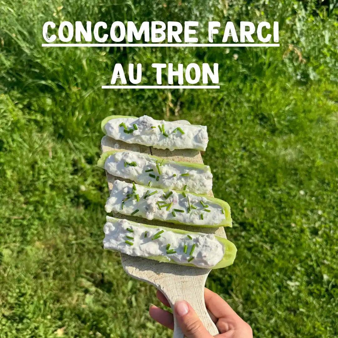 Concombre Farci au thon