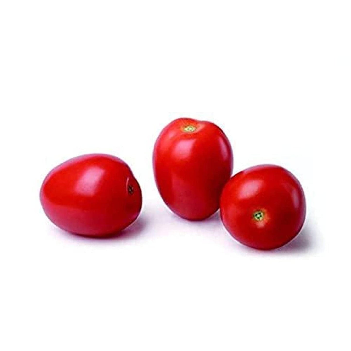 Tomate pigeon BIO 250g