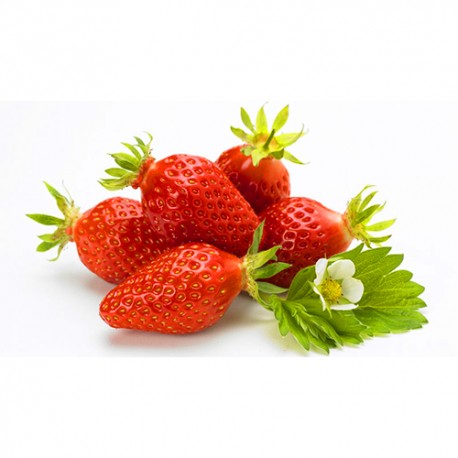 Fraise 500g